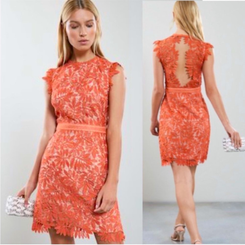 Reiss Maika open back lace dress